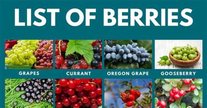 Are all fruits berries?