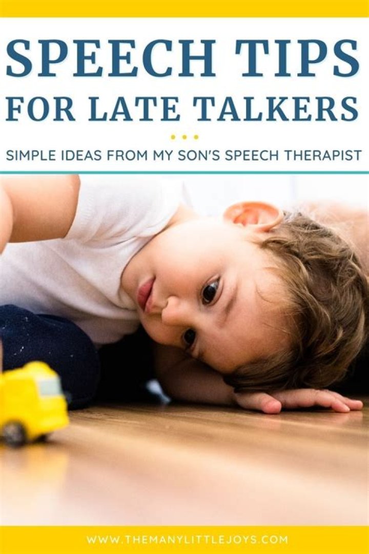 Are all late talkers autistic?