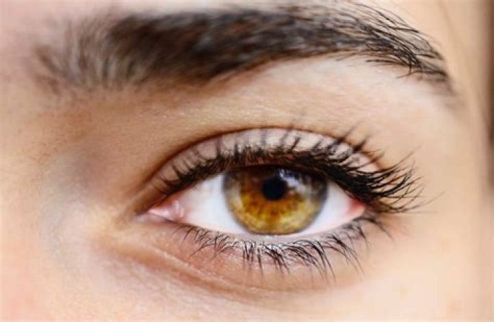 Are amber eyes rare?