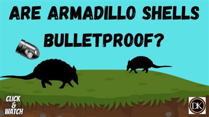 Are armadillo shells bulletproof?