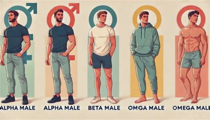 Are beta males lazy?