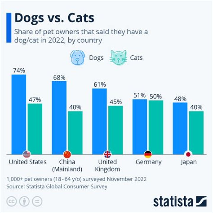 Are cats and dogs gendered?