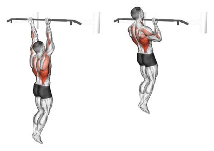 Are Chinups or pullups harder?