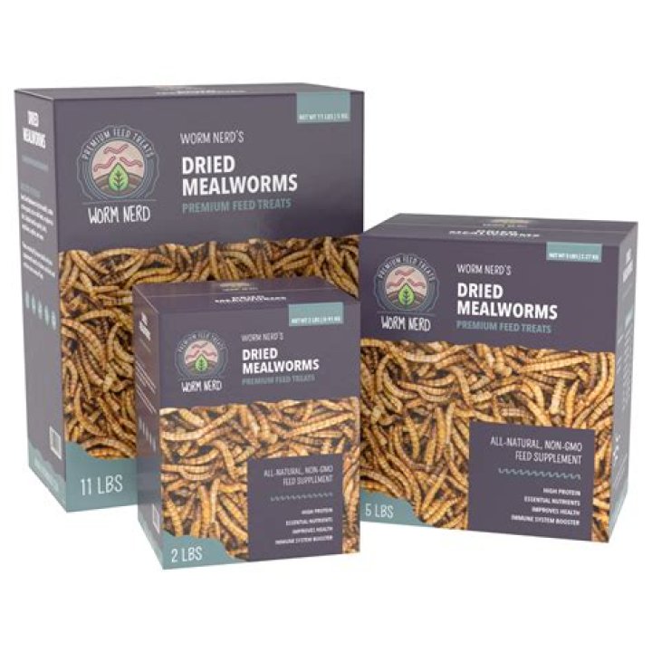 Are dried mealworms good for birds?