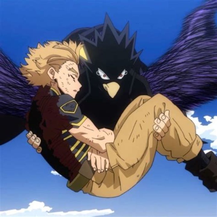 Are hawks and Tokoyami brothers?