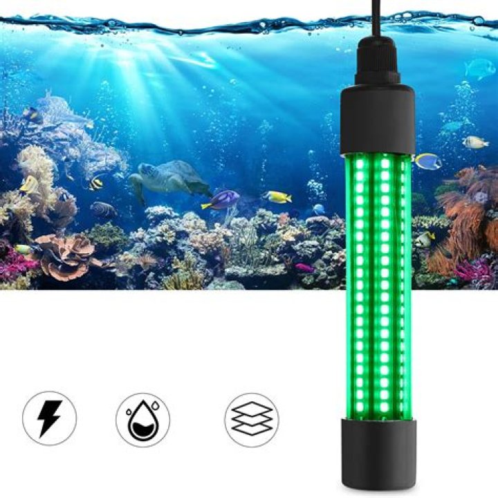 Are LED lights too bright for fish?