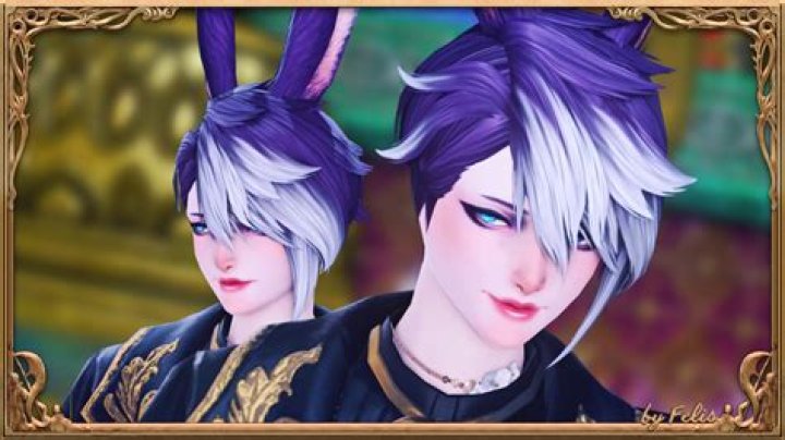Are male Viera live?