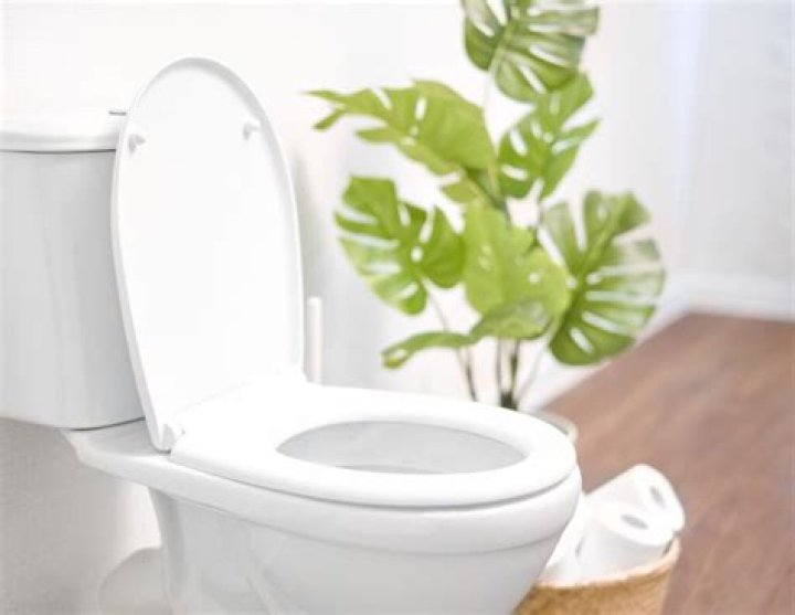 Are men supposed to use the toilet seat?