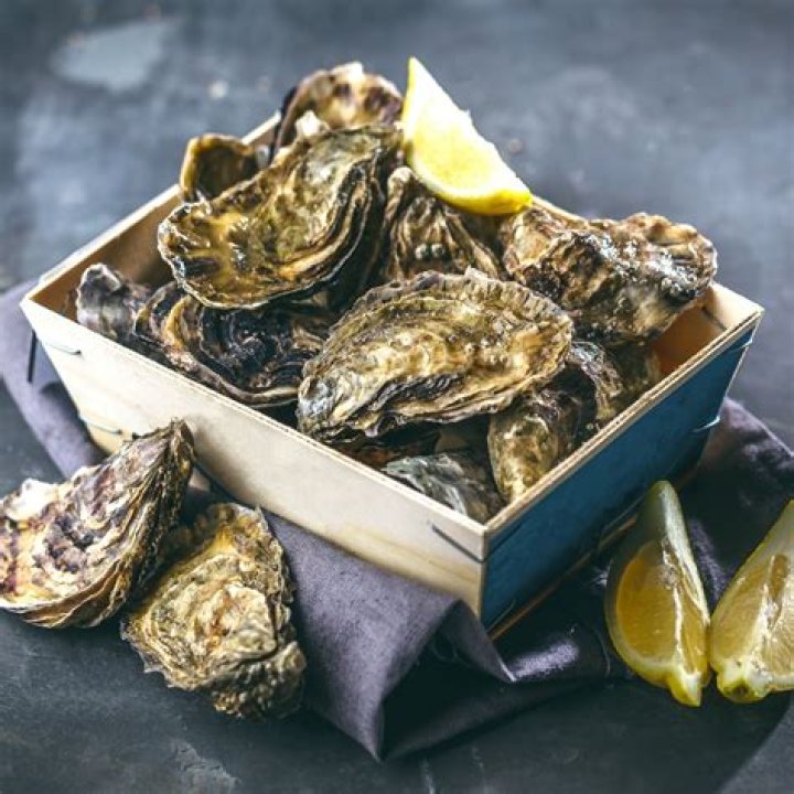 Are oysters cruel?