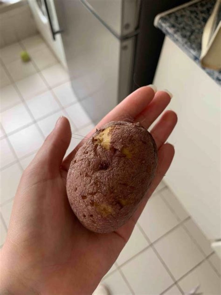 Are raw potatoes toxic?