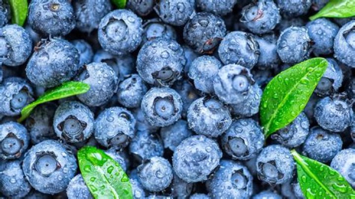 Are Red blueberries real?