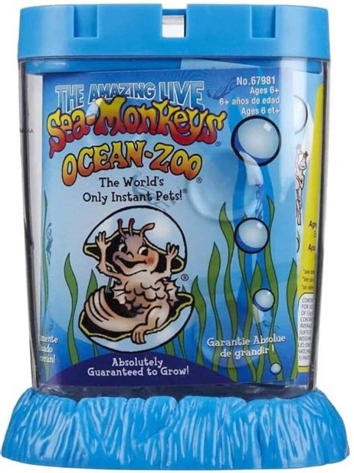 Are Sea-Monkeys good pets?