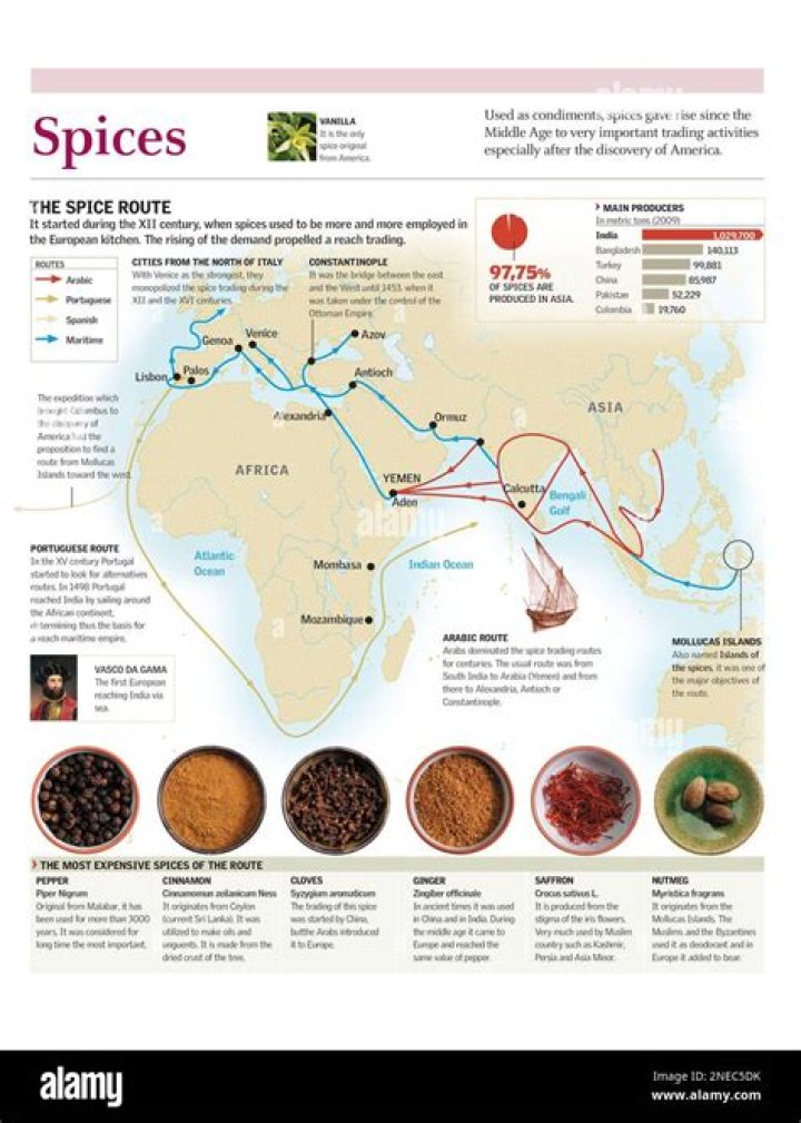 Are spices from India safe?