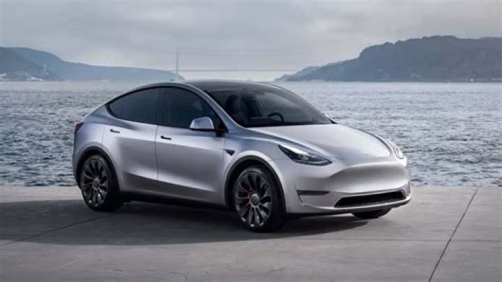 Are Teslas vegan?