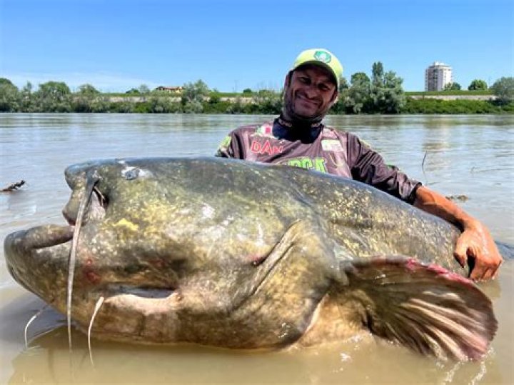 Are there big fish in Lake Superior?