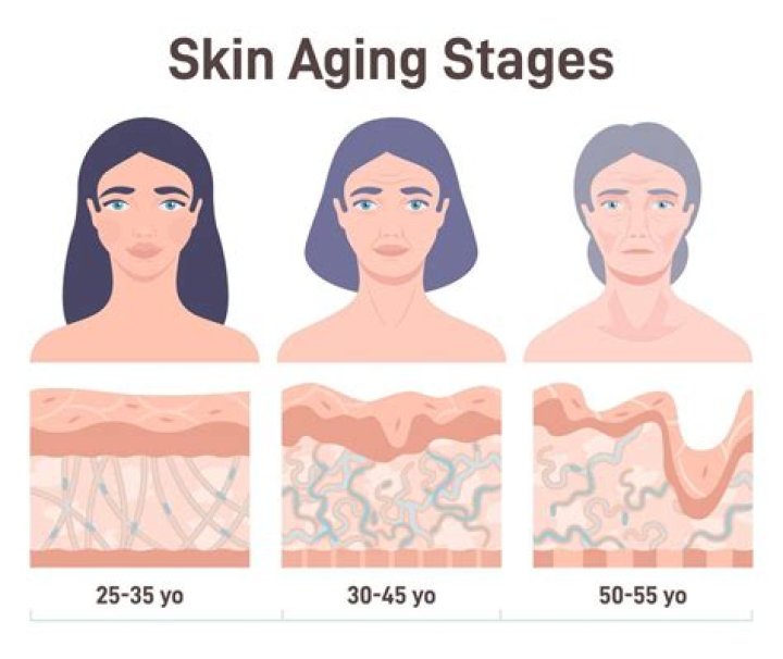 At what age does skin start losing elasticity?