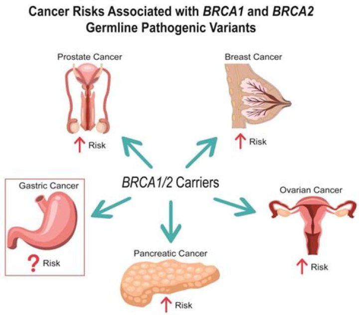 Can 2 cancers date?