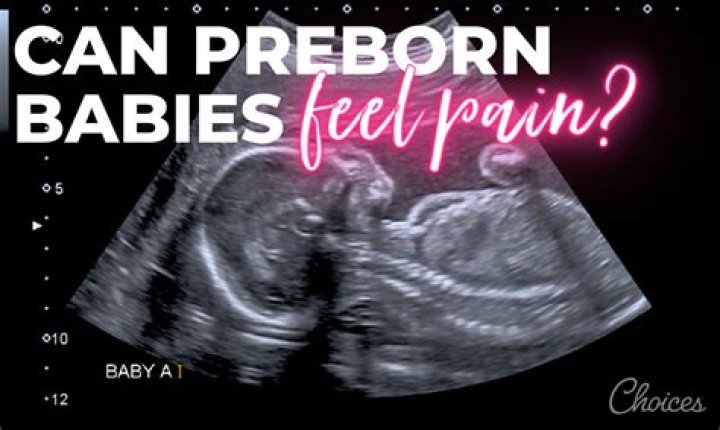 Can a baby feel your hand on your belly?