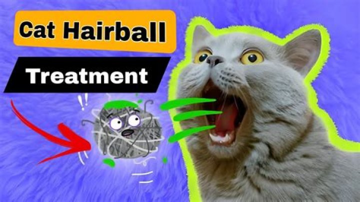 Can a cat poop out a hairball?