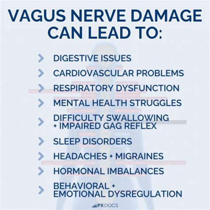 Can a damaged nerve cause paralysis?