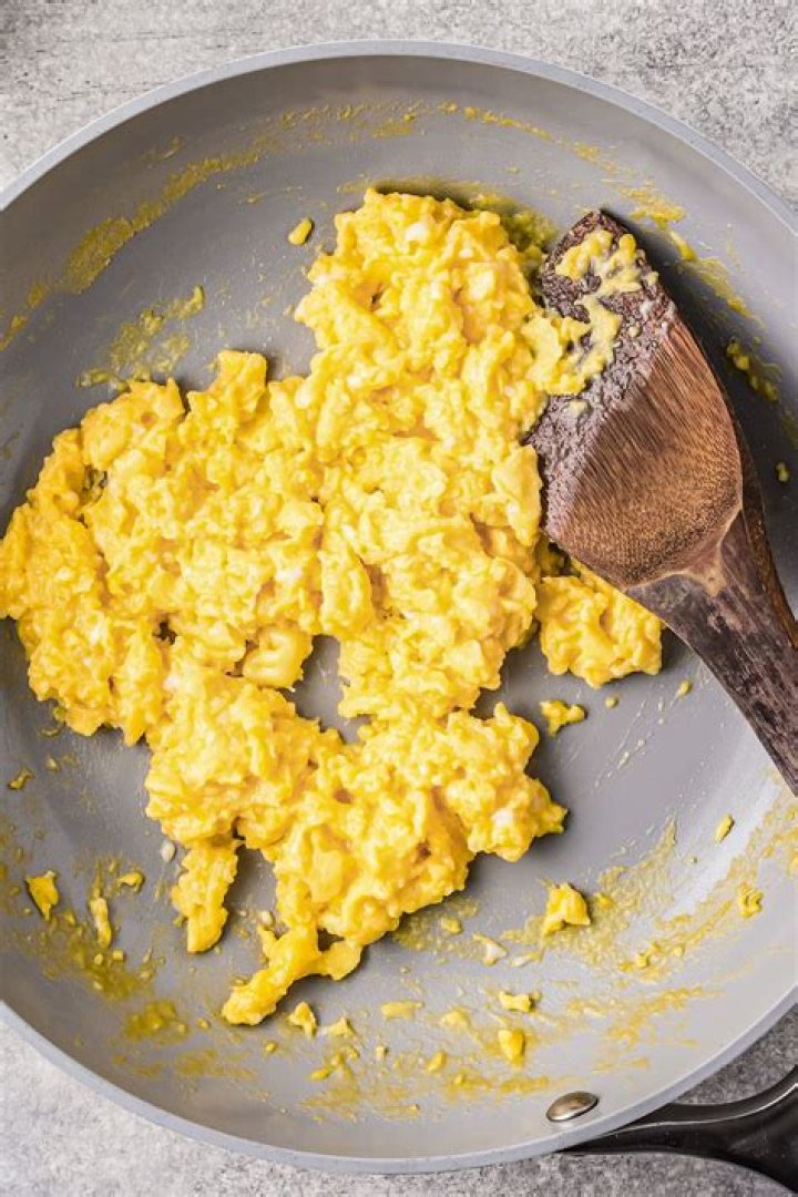 Can a dog eat scrambled eggs?