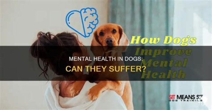 Can a dog have mental issues?