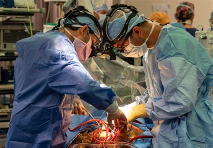 Can a girl become a surgeon?