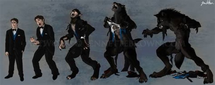 Can a human turn into a werewolf?