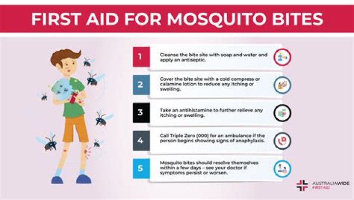 Can a mosquito get drunk if it bites a drunk person?