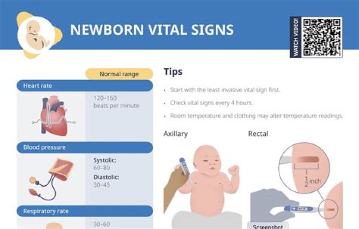Can a newborn go 4 hours without eating?