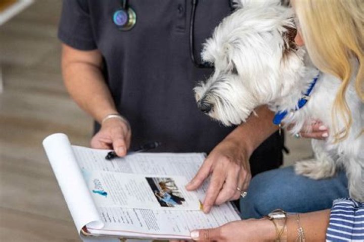 Can a vet refuse to give you your pet back?