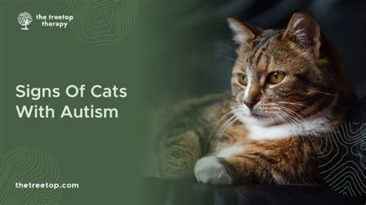 Can animals have autism?