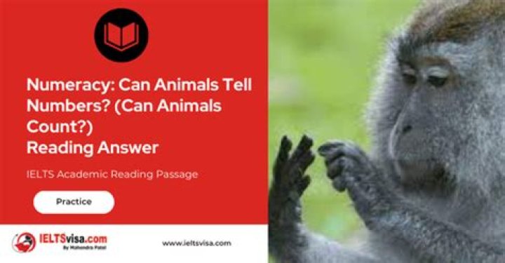 Can animals tell if you're a good person?