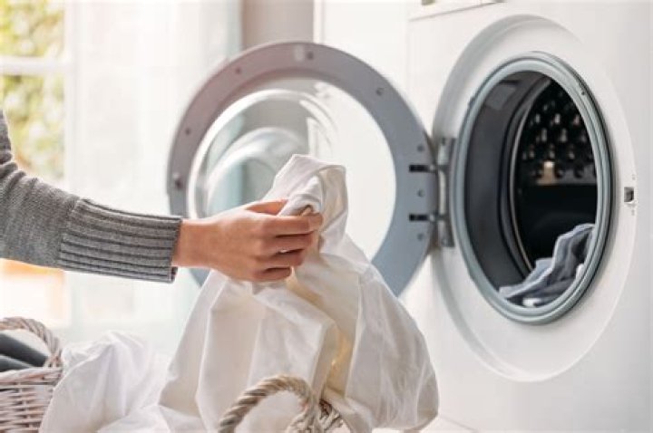 Can Athlete's foot survive in the washing machine?