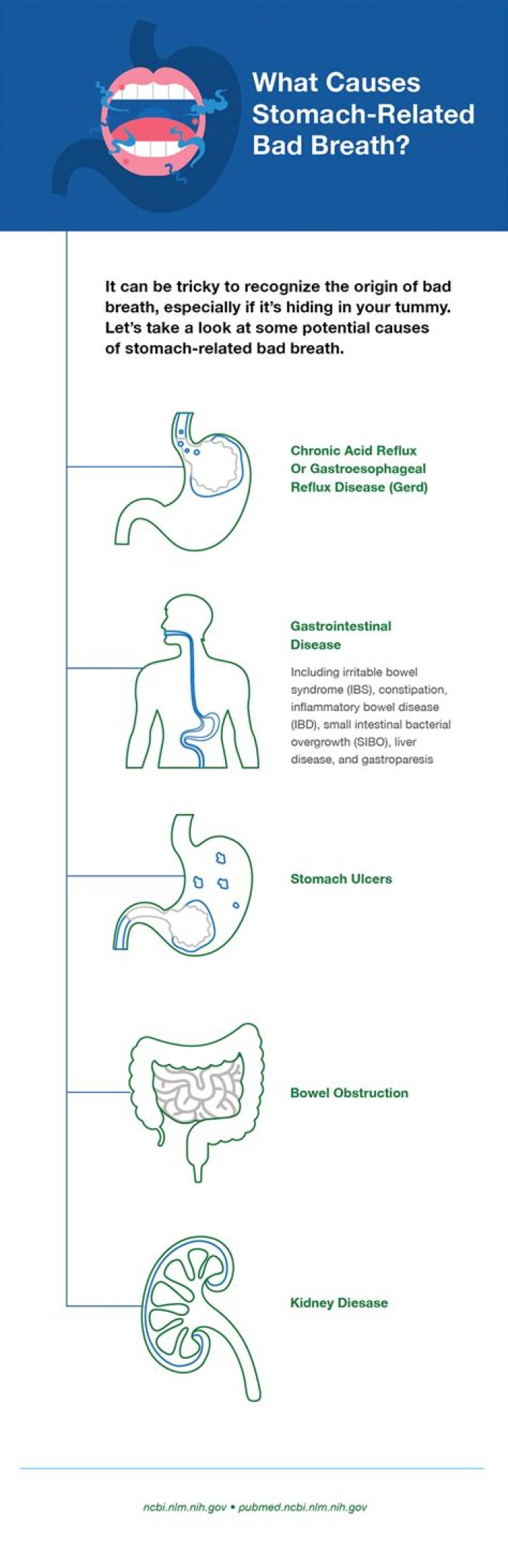 Can bad breath come from the stomach?