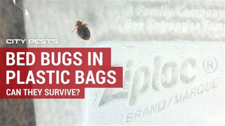 Can bed bugs eat through plastic?