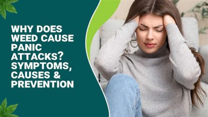 Can buspirone cause panic attacks?