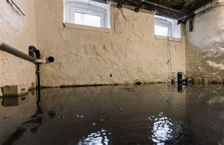 Can cat urine seep through walls?