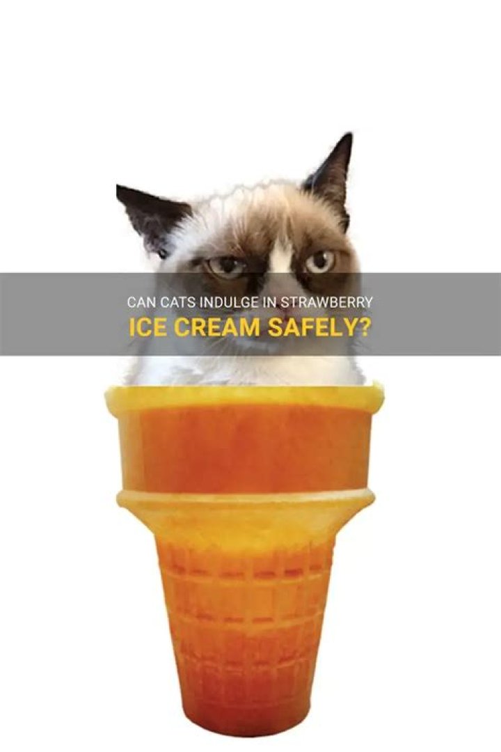 Can cats eat strawberry ice cream?