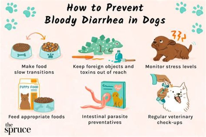 Can changing dog food cause blood in stool?