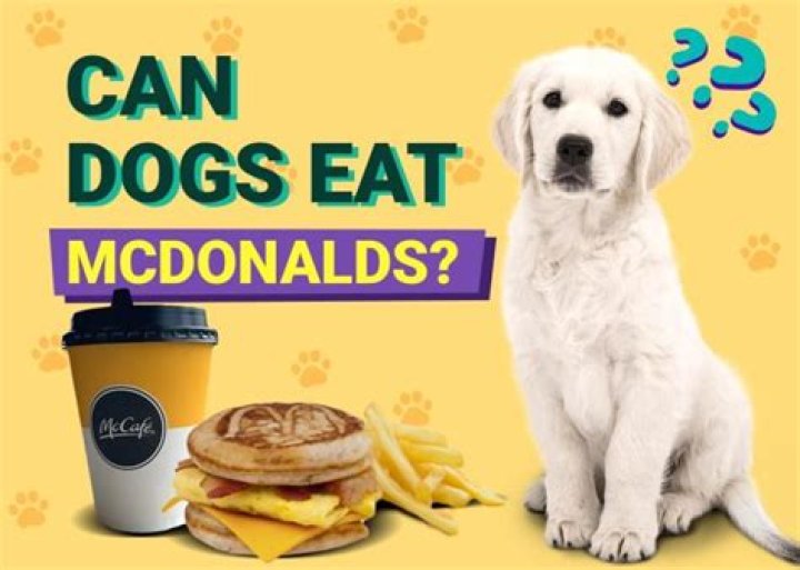 Can dogs eat anything from mcdonalds?