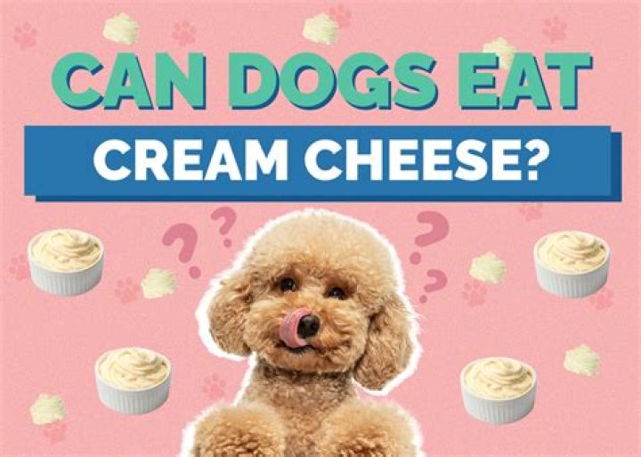 Can dogs have cream cheese?