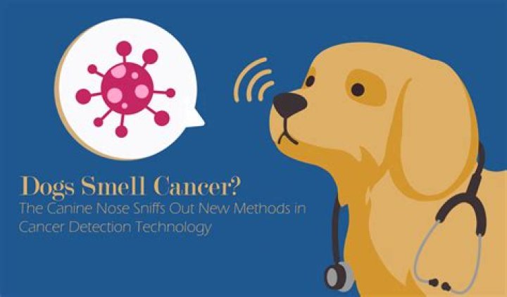 Can dogs smell human arousal?