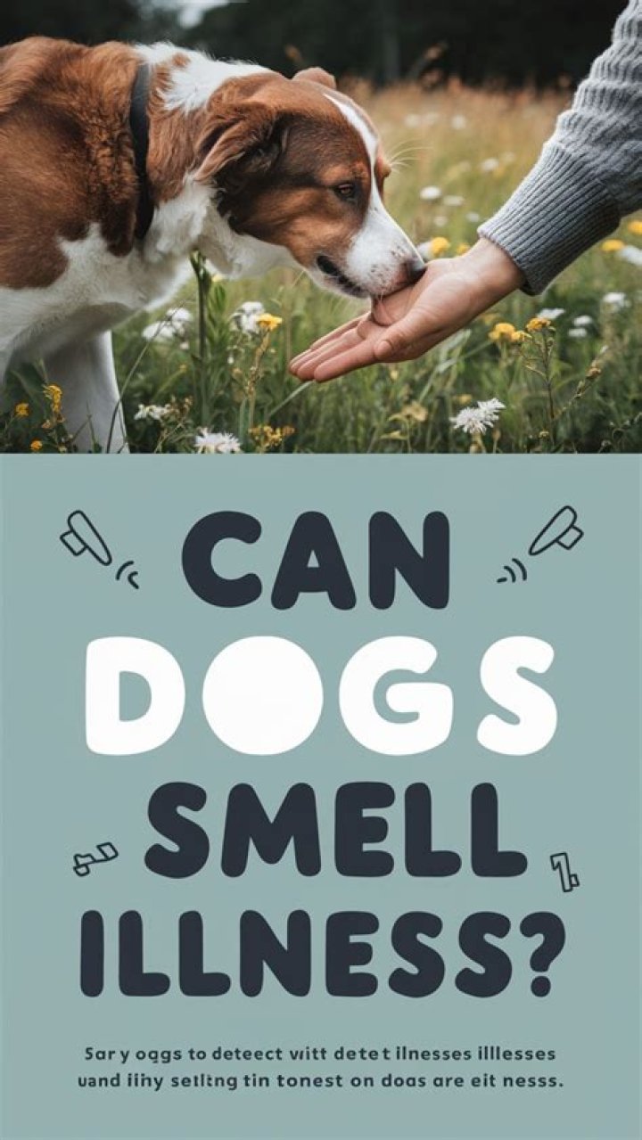 Can dogs smell illness?
