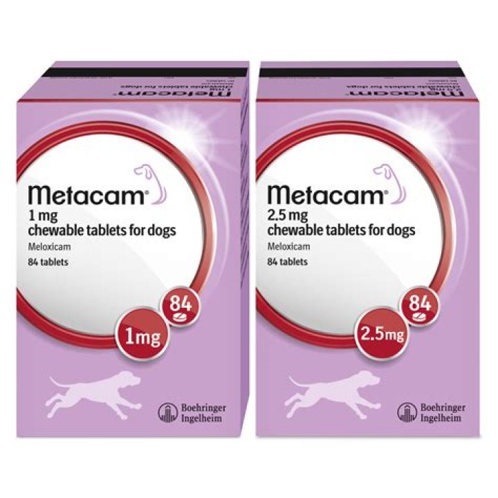 Can dogs take Nexium?