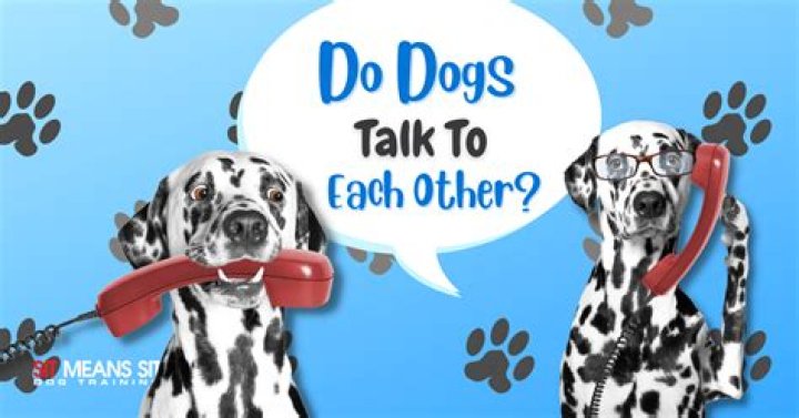 Can dogs talk?