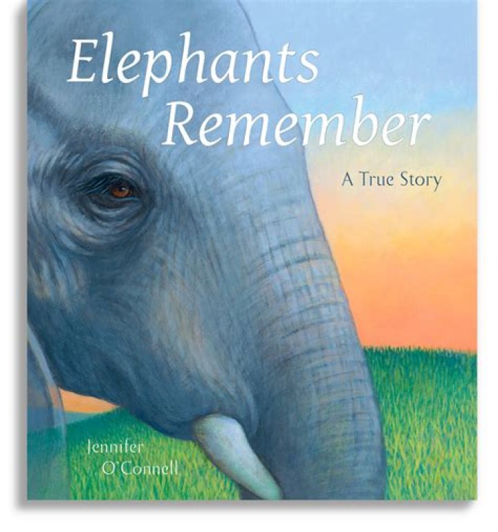 Can elephants remember you?