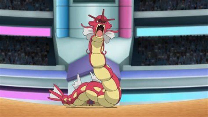 Can Gyarados learn fly?
