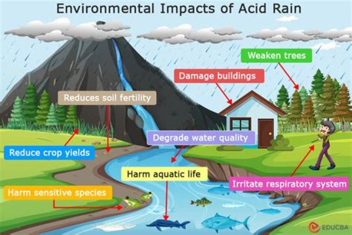 Can heavy rain affect well water?
