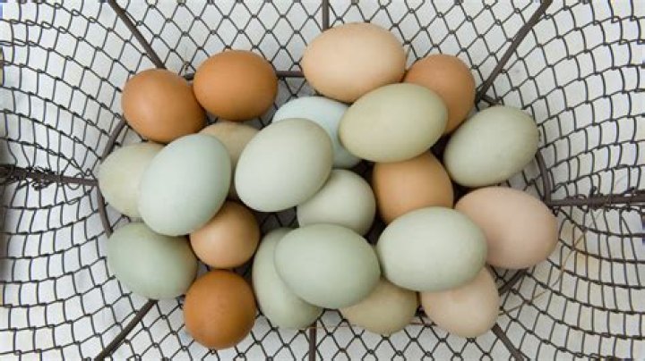Can I eat a tilting egg?